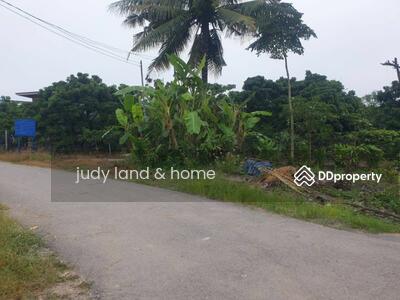 ขาย - โซนสันป่าตอง บ้านม่วงพี่น้อง, เชียงใหม่