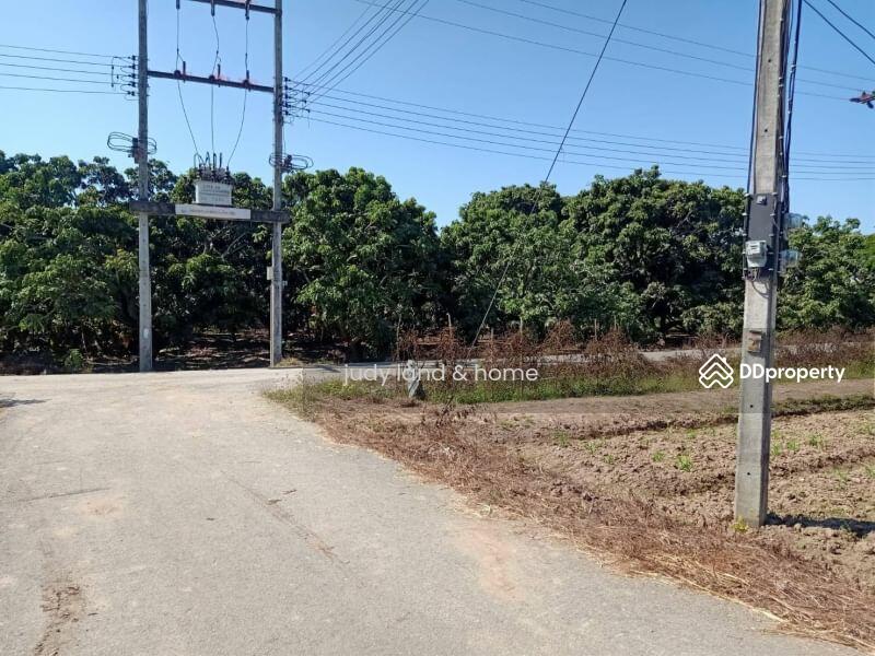 โซนสันป่าตอง บ้านม่วงพี่น้อง, Chiang Mai, Ma Khun Wan, San Pa Tong, Chiang Mai, , 1,428 sqm, Land For Sale, by Armon Yuenyong, 10705569 - DDproperty.com