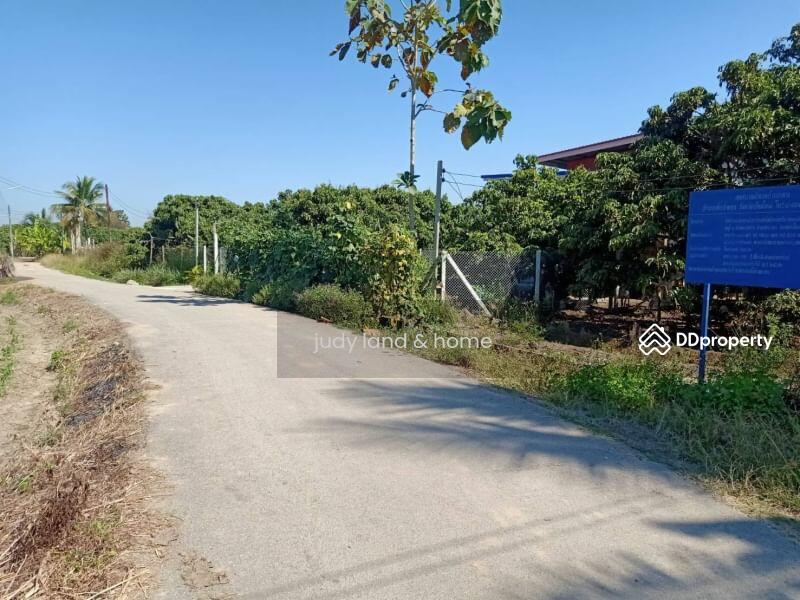 โซนสันป่าตอง บ้านม่วงพี่น้อง, Chiang Mai, Ma Khun Wan, San Pa Tong, Chiang Mai, , 1,428 sqm, Land For Sale, by Armon Yuenyong, 10705569 - DDproperty.com
