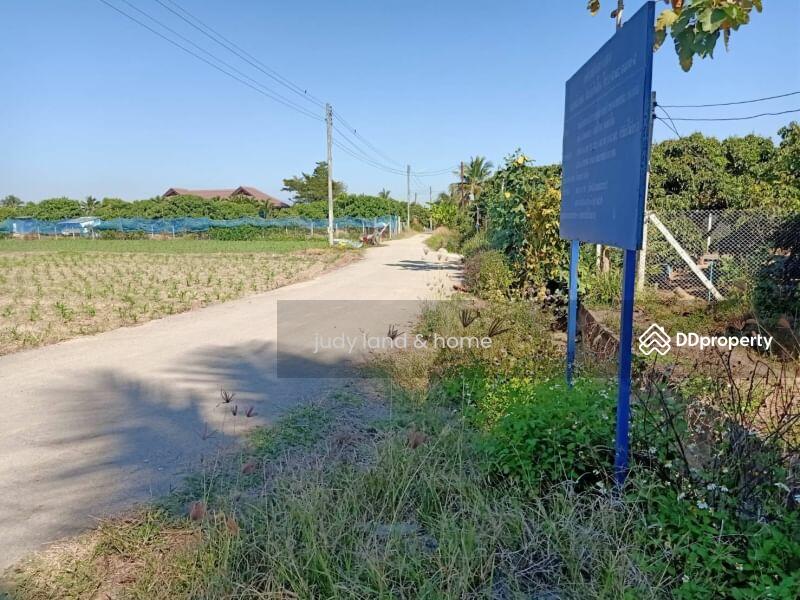 โซนสันป่าตอง บ้านม่วงพี่น้อง, Chiang Mai, Ma Khun Wan, San Pa Tong, Chiang Mai, , 1,428 sqm, Land For Sale, by Armon Yuenyong, 10705569 - DDproperty.com