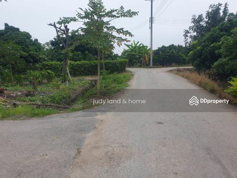 โซนสันป่าตอง บ้านม่วงพี่น้อง, Chiang Mai, Ma Khun Wan, San Pa Tong, Chiang Mai, , 1,428 sqm, Land For Sale, by Armon Yuenyong, 10705569 - DDproperty.com