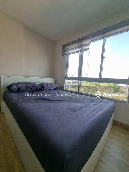 Den Vibhavadi, Bangkok, Vibhavadi Rangsit Frontage Road, Sanam Bin, Don Mueang, Bangkok, 1 Bedroom, 28 sqm, Condo For Rent, by orawan sangkusolwong, 10712005 - DDproperty.com