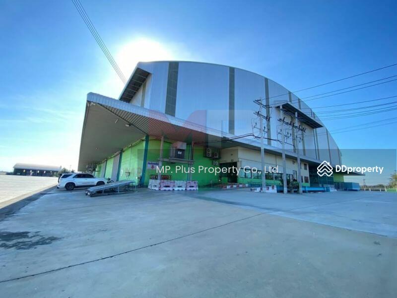 ให้เช่าโรงงานขนาดใหญ่ พื้นที่ 8,000 - 20,000 ตรม เขตไทรน้อย นนทบุรี, Nonthaburi, Khun Sri, Sai Noi, Nonthaburi, , 8,000 sqm, Warehouse/Factory For Rent, by Nichamon Buasong (Pheung), 10712583 - DDproperty.com