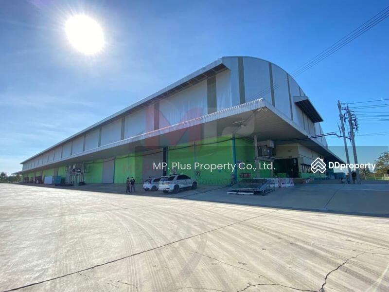 ให้เช่าโรงงานขนาดใหญ่ พื้นที่ 8,000 - 20,000 ตรม เขตไทรน้อย นนทบุรี, Nonthaburi, Khun Sri, Sai Noi, Nonthaburi, , 8,000 sqm, Warehouse/Factory For Rent, by Nichamon Buasong (Pheung), 10712583 - DDproperty.com