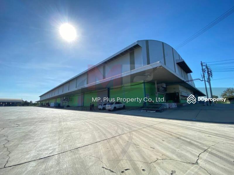 ให้เช่าโรงงานขนาดใหญ่ พื้นที่ 8,000 - 20,000 ตรม เขตไทรน้อย นนทบุรี, Nonthaburi, Khun Sri, Sai Noi, Nonthaburi, , 8,000 sqm, Warehouse/Factory For Rent, by Nichamon Buasong (Pheung), 10712583 - DDproperty.com