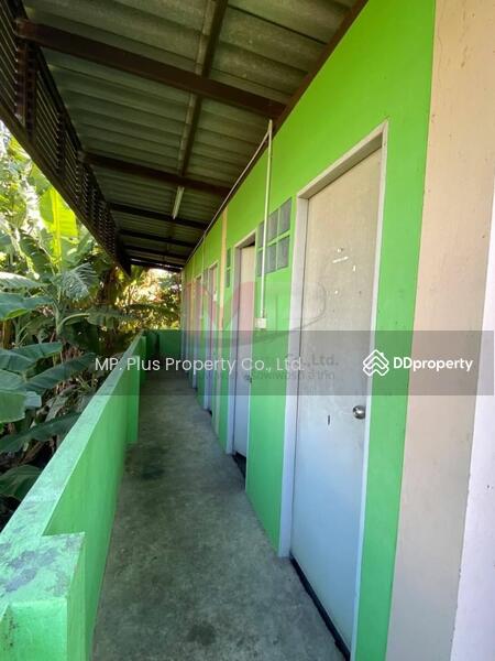 ให้เช่าโรงงานขนาดใหญ่ พื้นที่ 8,000 - 20,000 ตรม เขตไทรน้อย นนทบุรี, Nonthaburi, Khun Sri, Sai Noi, Nonthaburi, , 8,000 sqm, Warehouse/Factory For Rent, by Nichamon Buasong (Pheung), 10712583 - DDproperty.com
