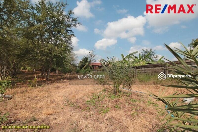 ขาย ที่ดิน ติดถนนเพชรเกษม ปราณบุรี หัวหิน ตรงข้ามค่ายธนะรัชต์ 12 ไร่ ราคาถูก