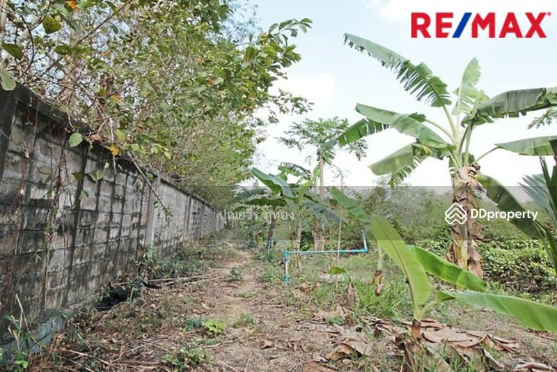 ขาย ที่ดิน ติดถนนเพชรเกษม ปราณบุรี หัวหิน ตรงข้ามค่ายธนะรัชต์ 12 ไร่ ราคาถูก