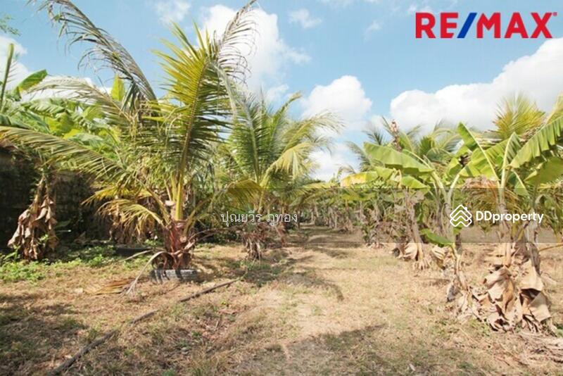 ขาย ที่ดิน ติดถนนเพชรเกษม ปราณบุรี หัวหิน ตรงข้ามค่ายธนะรัชต์ 12 ไร่ ราคาถูก