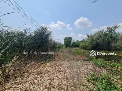 ขาย - ลาดกระบัง, กรุงเทพ