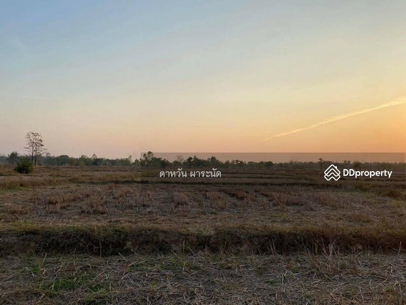 ขาย - ที่ดินอำเภอเมือง หนองคาย, หนองคาย