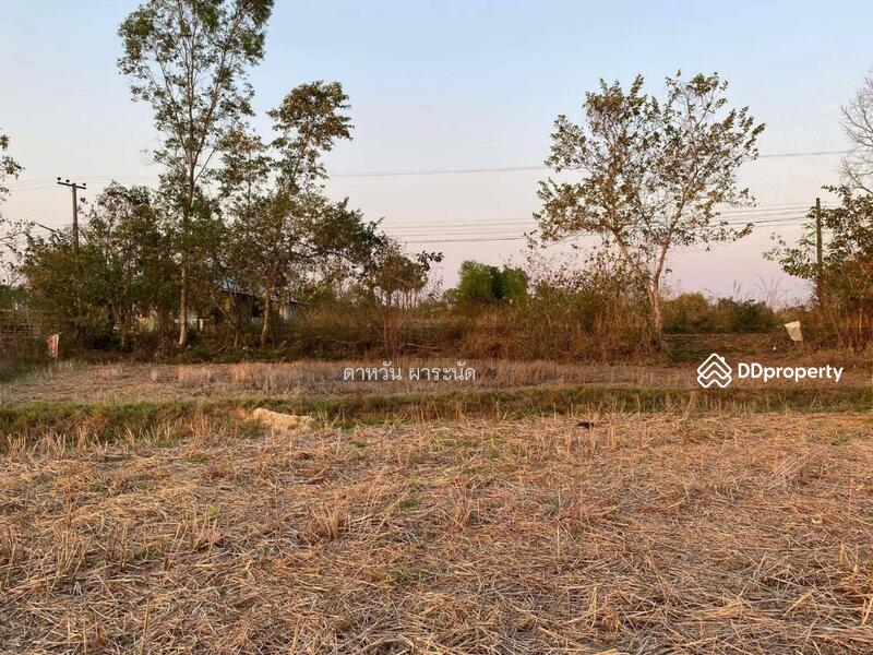 ขาย - ที่ดินอำเภอเมือง หนองคาย, หนองคาย