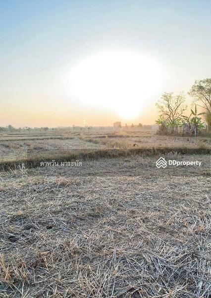 Sale of land at Nongkhai, Nong Khai, Khai Bok Wan, Muang Nong Khai, Nong Khai, , 12,400 sqm, Land For Sale, by Dawan Pharanat, 10713061 - DDproperty.com