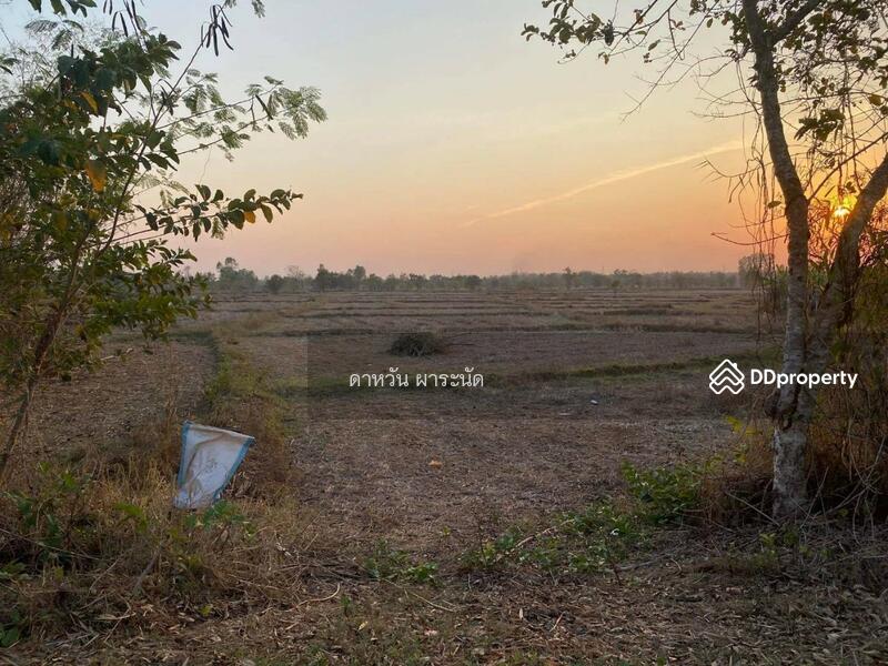 ขาย - ที่ดินอำเภอเมือง หนองคาย, หนองคาย
