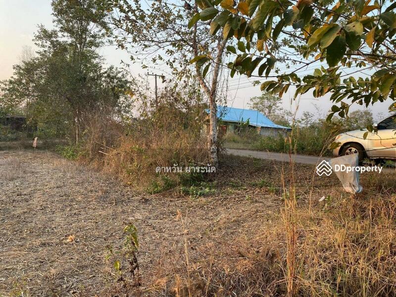 Sale of land at Nongkhai, Nong Khai, Khai Bok Wan, Muang Nong Khai, Nong Khai, , 12,400 sqm, Land For Sale, by Dawan Pharanat, 10713061 - DDproperty.com