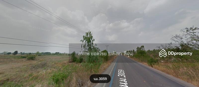 ขาย - ขายที่ดิน 240 ไร่ อำเภอสีคิ้ว, นครราชสีมา
