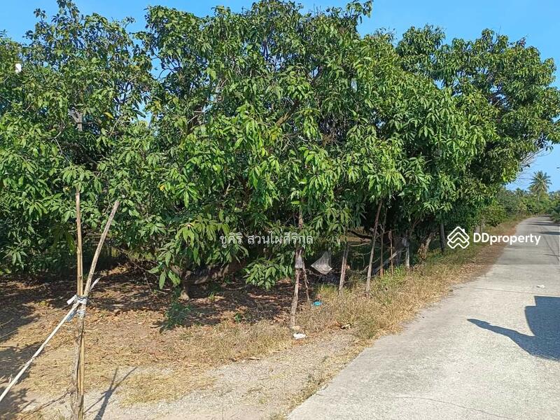 ขายที่ดิน 2 ไร่ 3 งาน 64 ตารางวา ปากน้ำปราณ ห่างทะเลประมาณ 2 กม ทำเลใกล้ตลาดใกล้แหล่งท่องเที่ยว, Prachuap Khiri Khan, Pak Nam Pran, Pran Buri, Prachuap Khiri Khan, , 4,656 sqm, Land For Sale, by Shusiri Suanphaisirikul, 10715704 - DDproperty.com