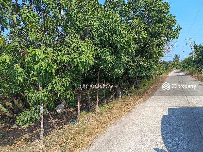 ขายที่ดิน 2 ไร่ 3 งาน 64 ตารางวา ปากน้ำปราณ ห่างทะเลประมาณ 2 กม ทำเลใกล้ตลาดใกล้แหล่งท่องเที่ยว, ประจวบคีรีขันธ์, ปากน้ำปราณ, ปราณบุรี, ประจวบคีรีขันธ์, 4,656 ตร.ม., ที่ดิน ขาย, โดย ชูศิริ สวนไผ่ศิริกุล, 10715704 - DDproperty.com