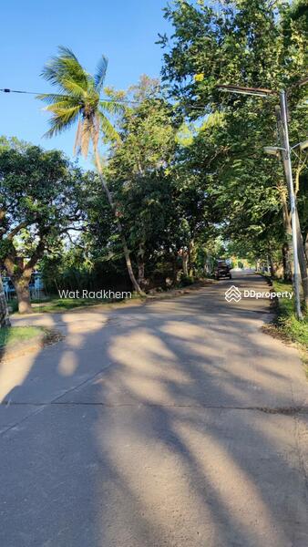 ขาย - ที่ดินริมแม่น้ำโขง, บึงกาฬ