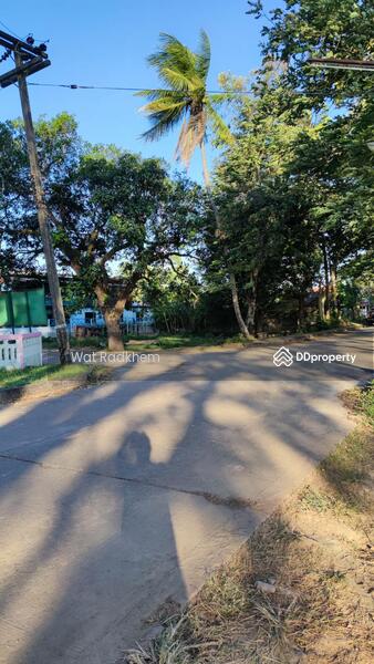 ขาย - ที่ดินริมแม่น้ำโขง, บึงกาฬ