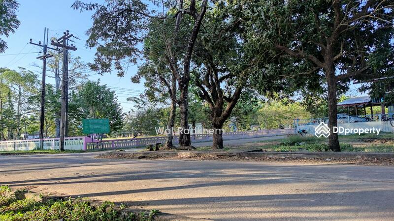 ขาย - ที่ดินริมแม่น้ำโขง, บึงกาฬ