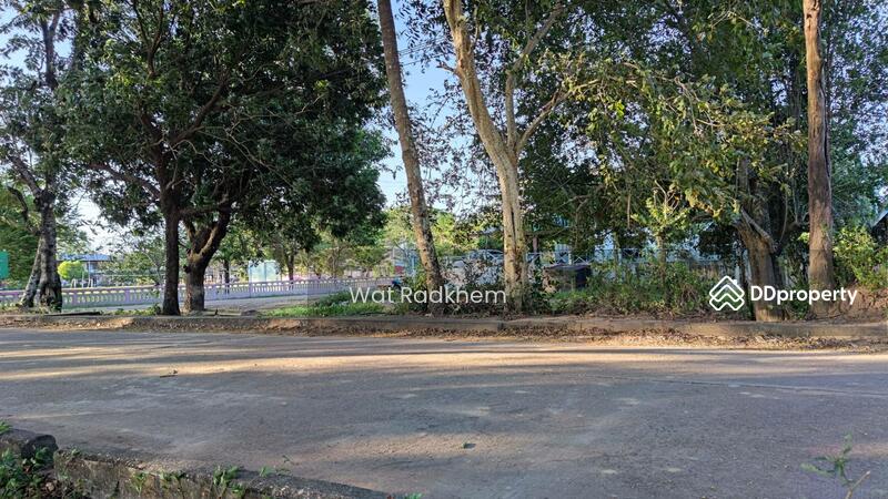 ขาย - ที่ดินริมแม่น้ำโขง, บึงกาฬ