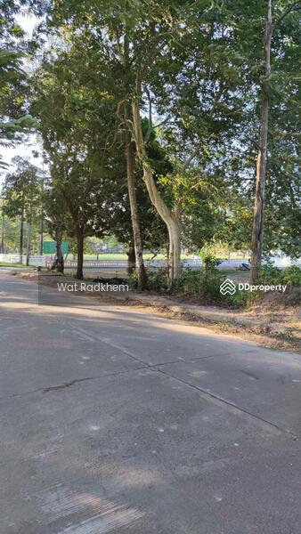 ขาย - ที่ดินริมแม่น้ำโขง, บึงกาฬ