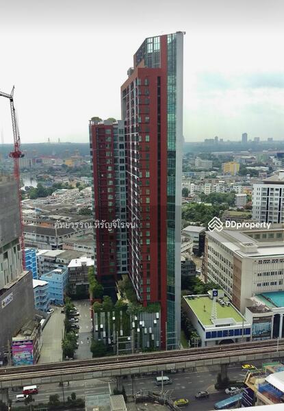 The Bloom Sukhumvit 71, Bangkok, Soi Sukhumvit 71, Phra Kanong Nua, Watthana, Bangkok, 3 Bedrooms, 88 sqm, Condo For Rent, by คัทยวรรณ หิรัญจิโรจน์, 10722855 - DDproperty.com