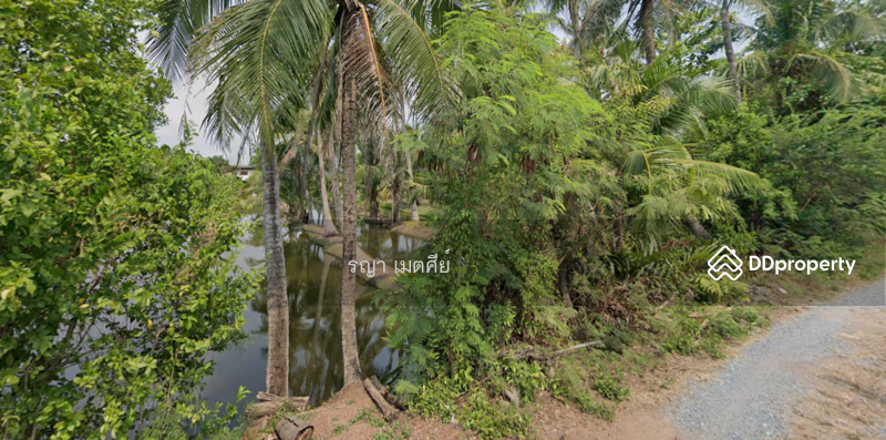 ขาย - แขวงท่าข้าม เขตบางขุนเทียน กรุงเทพมหานคร 10150, กรุงเทพ