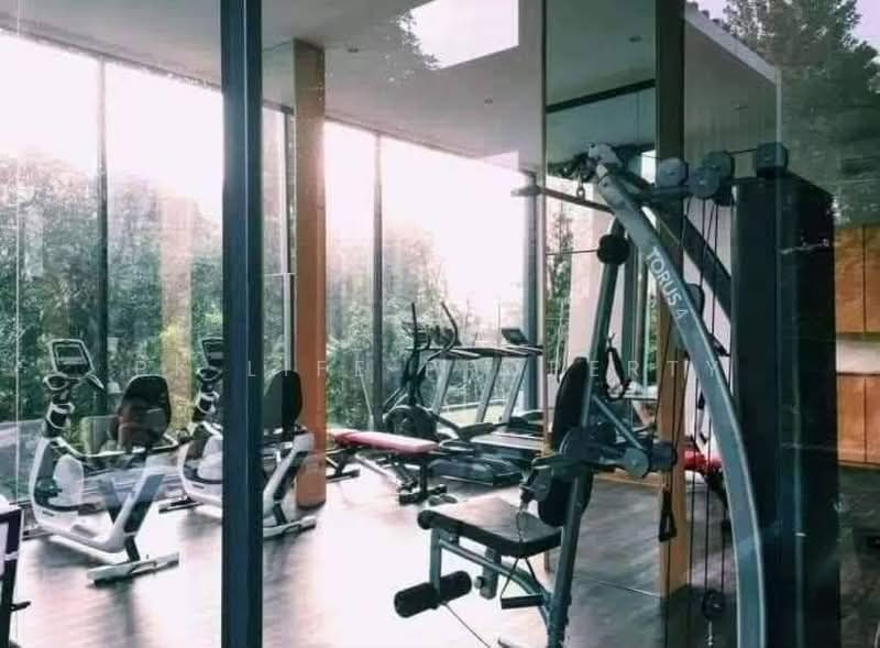 Hill Myna Condotel : ฮิลล์ ไมน์น่า คอนโดเทล, ภูเก็ต, 1 ม. 5 ถ.ศรีสุนทร, เชิงทะเล, ถลาง, ภูเก็ต, 35 ตร.ม., คอนโด ให้เช่า, โดย PK LIFE Property, 10723476 - DDproperty.com