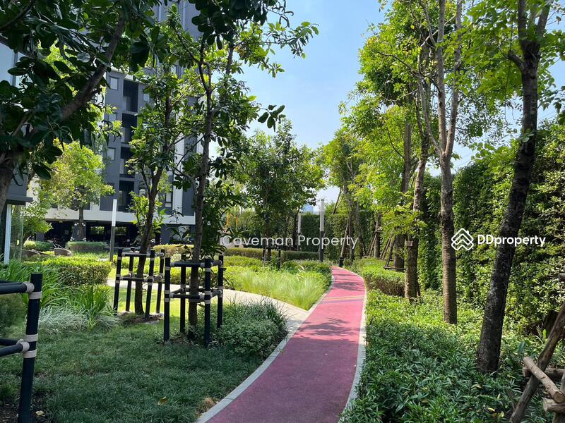 Aspire Sukhumvit-On Nut : แอสปาย สุขุมวิท-อ่อนนุช, กรุงเทพ, ซอยอ่อนนุช 21 ถนนสุขุมวิท 77, สวนหลวง, กรุงเทพ, 31 ตร.ม., คอนโด ให้เช่า, โดย Caveman Property, 10724252 - DDproperty.com