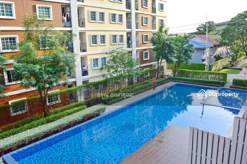 Tulip Square Condo : ทิวลิป สแควร์ คอนโด, สมุทรสาคร, 219-235 เพชรเกษม, อ้อมน้อย, กระทุ่มแบน, สมุทรสาคร, 28 ตร.ม., คอนโด ให้เช่า, โดย อรุณ อเนกคุณะ, 10726667 - DDproperty.com