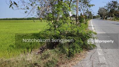 ขาย - ขายที่ดิน 51 ไร่ ถนน 3047 ลำลาด-ลาดบัว ต.บางเตย อ.สามโคก จ.ปทุมธานี, ปทุมธานี