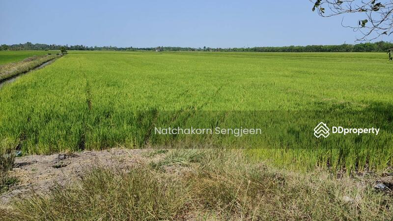 Land for sale, 51 rai, Road 3047, Lamlad-Ladbua, Bangtoei, Sam Khok, Pathum Thani, Pathum Thani, 3047 ลำลาด-ลาดบัว, Bang Toei, Sam Khok, Pathum Thani, , 82,144 sqm, Land For Sale, by Natchakorn Sengjeen, 10727201 - DDproperty.com