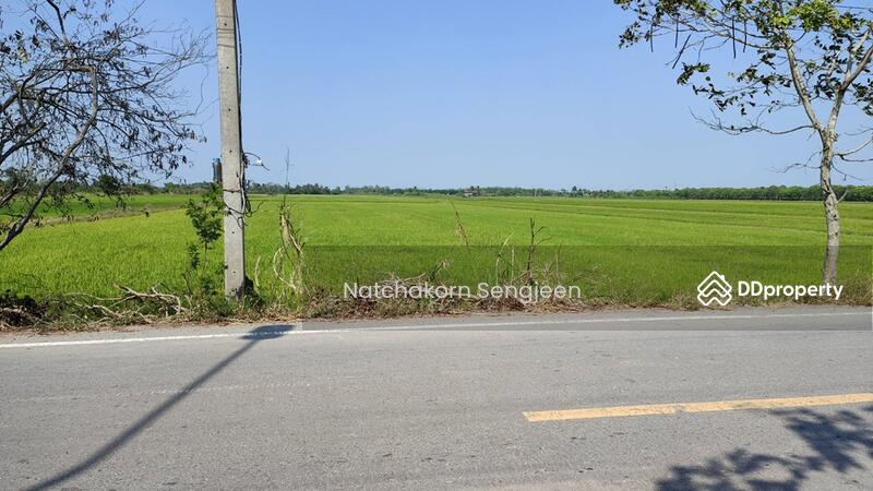 ขายที่ดิน 51 ไร่ ถนน 3047 ลำลาด-ลาดบัว ต.บางเตย อ.สามโคก จ.ปทุมธานี, ปทุมธานี, 3047 ลำลาด-ลาดบัว, บางเตย, สามโคก, ปทุมธานี, 82,144 ตร.ม., ที่ดิน ขาย, โดย Natchakorn Sengjeen, 10727201 - DDproperty.com