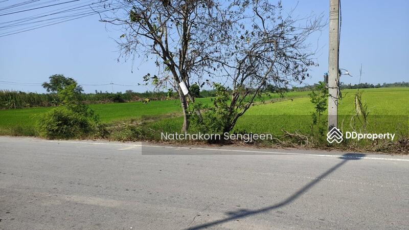 Land for sale, 51 rai, Road 3047, Lamlad-Ladbua, Bangtoei, Sam Khok, Pathum Thani, Pathum Thani, 3047 ลำลาด-ลาดบัว, Bang Toei, Sam Khok, Pathum Thani, , 82,144 sqm, Land For Sale, by Natchakorn Sengjeen, 10727201 - DDproperty.com