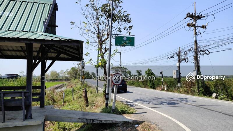 ขายที่ดิน 51 ไร่ ถนน 3047 ลำลาด-ลาดบัว ต.บางเตย อ.สามโคก จ.ปทุมธานี, ปทุมธานี, 3047 ลำลาด-ลาดบัว, บางเตย, สามโคก, ปทุมธานี, 82,144 ตร.ม., ที่ดิน ขาย, โดย Natchakorn Sengjeen, 10727201 - DDproperty.com