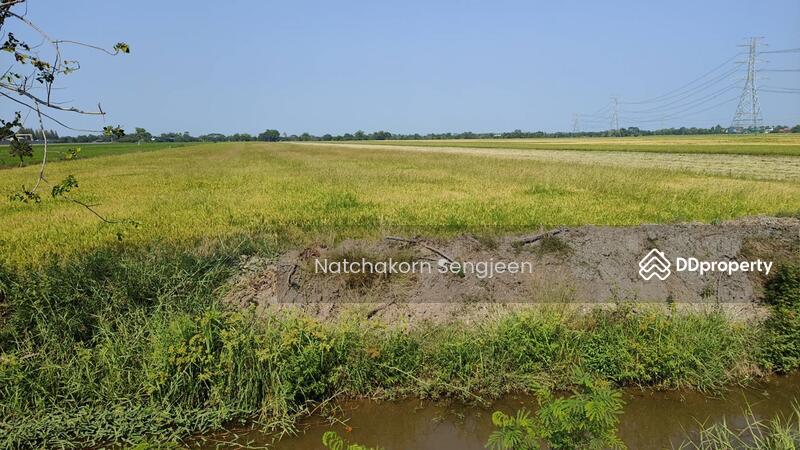 Land for sale 31 rai 248 square wah, Road 3014, Khu Khwang, Lat Lum Kaew, Pathum Thani, Pathum Thani, 3014, Khu Khwang, Lat Lum Kaeo, Pathum Thani, , 50,592 sqm, Land For Sale, by Natchakorn Sengjeen, 10727233 - DDproperty.com