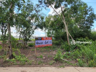 ขาย - บ้านสวนตะวันธรรม, ปทุมธานี