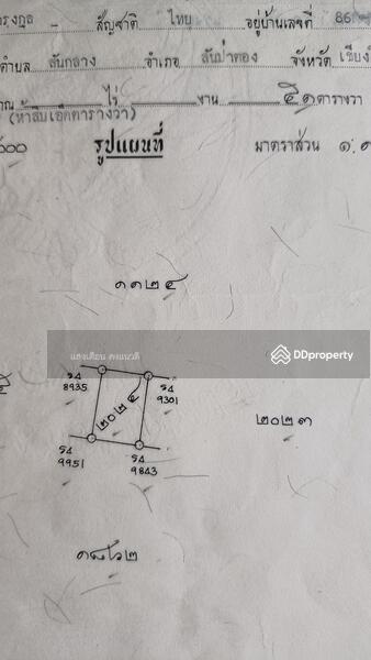 For Sale - Land 51sq.wah sanpatong cheingmai Thailand 390,000bht., Chiang Mai