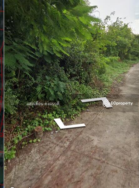 For Sale - Land 51sq.wah sanpatong cheingmai Thailand 390,000bht., Chiang Mai