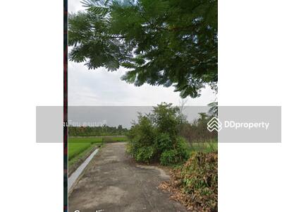 ขาย - ขายที่ดิน51ตร.วาใกล้รร.วัดบ้านดง สันป่าตองเชียงใหม่ 390,000บาท, เชียงใหม่