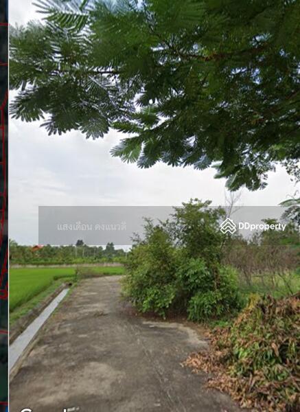 For Sale - Land 51sq.wah sanpatong cheingmai Thailand 390,000bht., Chiang Mai