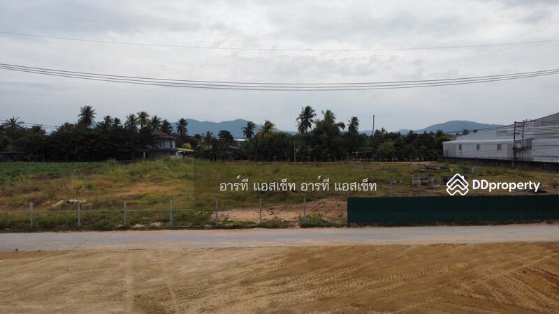 For Sale - Land for sale 130 Sq.wha near Road no.7, Chon Buri (Pattaya)