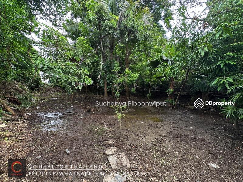 For Sale - ขายที่ดิน ซอยปุณณวิถี สามารถสร้างบ้าน หรือ อพาร์ทเม้นท์ได้, Bangkok