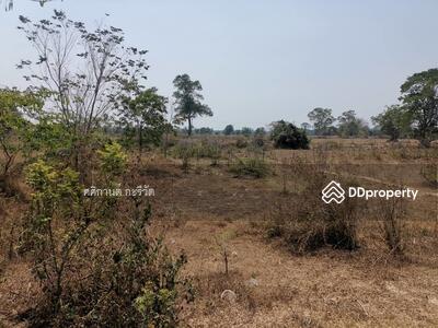 ขาย - ถนนบ้านนา-กะอาง จังหวัด นครนายก, นครนายก