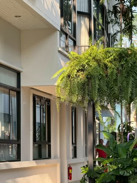 TownHouse For Rent Sukhumvit 38 : Pet Friendly, กรุงเทพ, Sukhumvit 38, คลองตันเหนือ, วัฒนา, กรุงเทพ, 350 ตร.ม., ทาวน์เฮ้าส์ ให้เช่า, โดย Suchanya Piboonwiput, 10731205 - DDproperty.com