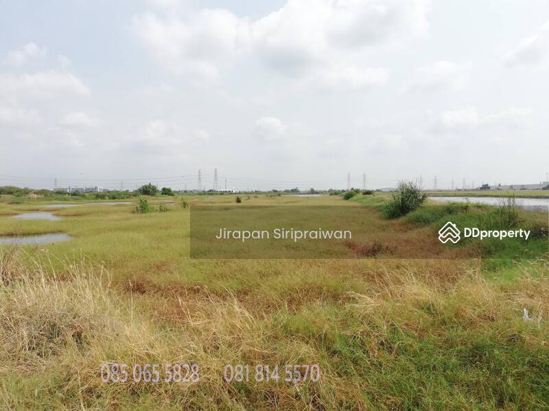 Land 87 rai Bangna-Trad km 29 - Lad Krabang near Suvarnabhumi Airport, Samut Prakan, รัตนโกสินทร์ 200 ปี, Bang Bo, Bang Bo, Samut Prakan, , 139,880 sqm, Land For Sale, by Jirapan Siripraiwan, 10731395 - DDproperty.com