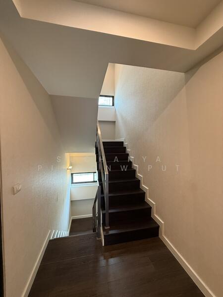 ให้เช่า - The Park Lane 22 : เดอะ พาร์ค เลน 22, กรุงเทพ