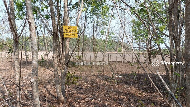 For Sale - Land 66sq.wah.MueangSakaeo, Thailand, Sa Kaeo